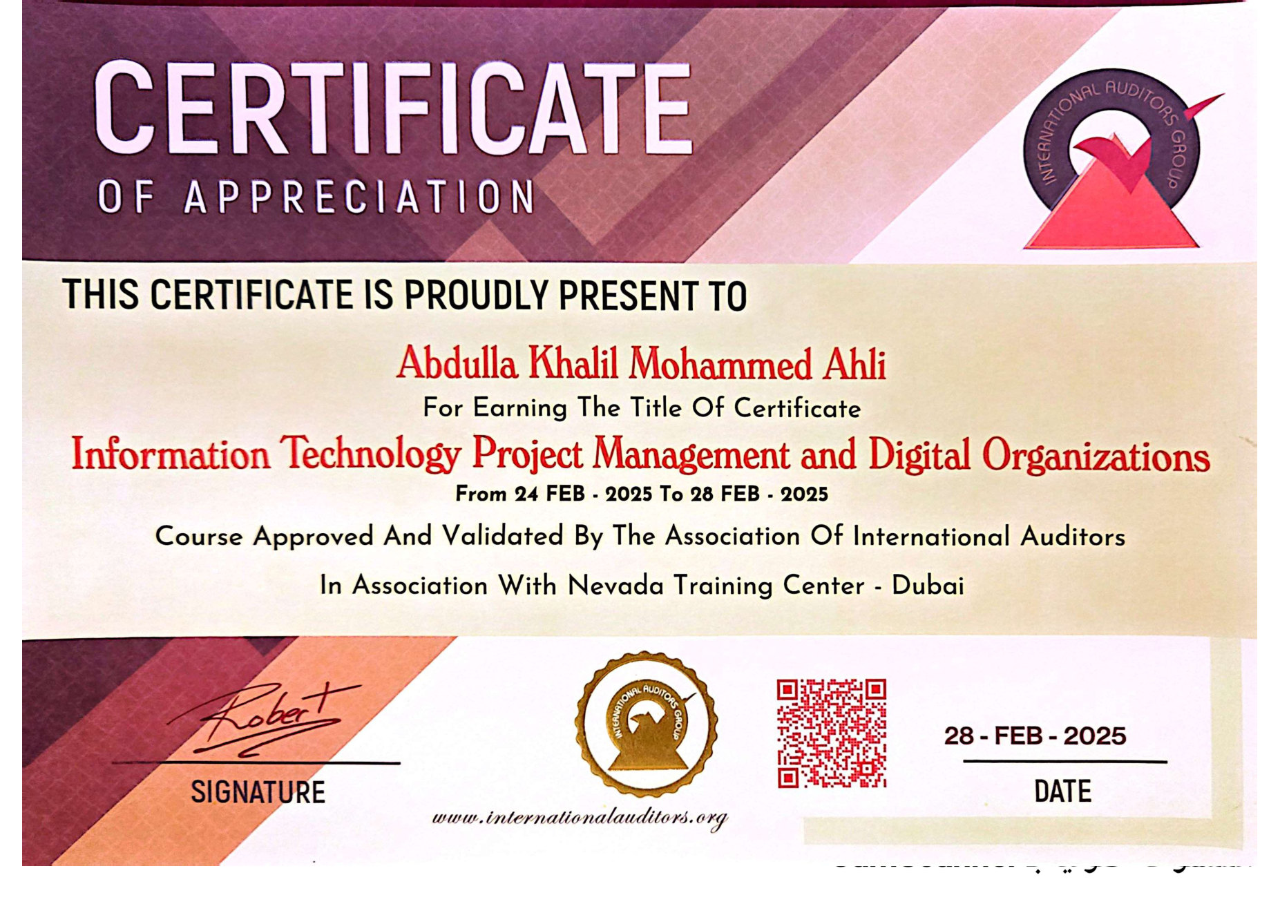 IT Project Management & Digital Organizations